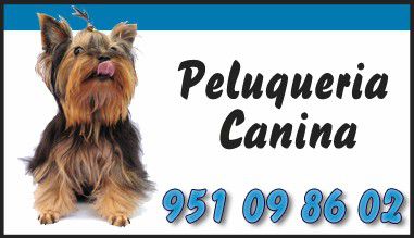 Odoo • Imagen y texto