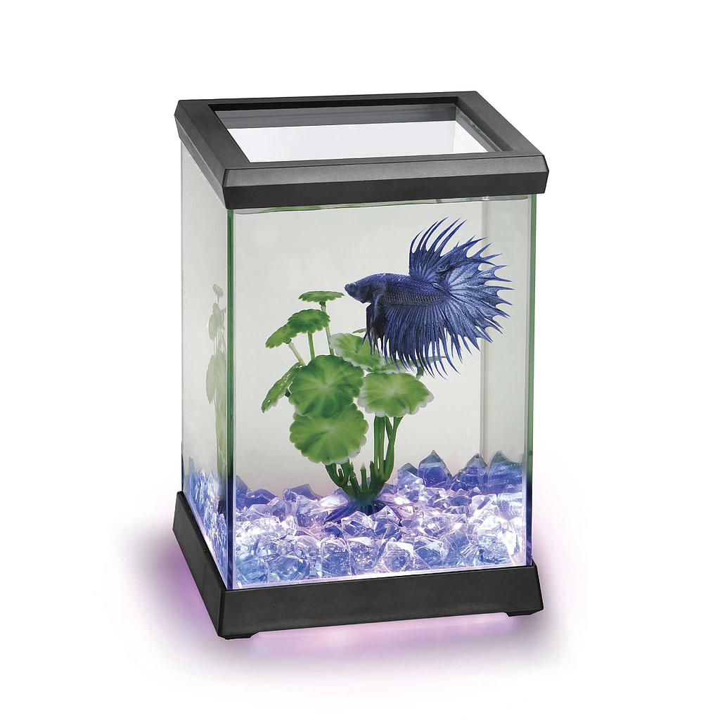 Betta Space LED