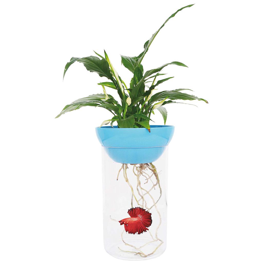 Pecera / Betera NATURE 1.20L 21x12,95cm