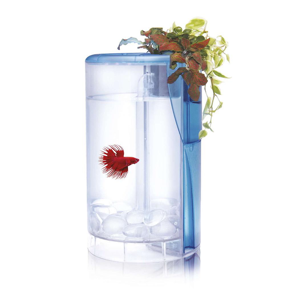 Kit Betta Flora LED 2.00L 25x15x15cm