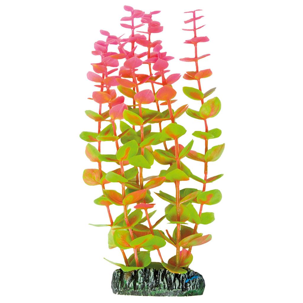 Alternanthera de AQUATIC PLANTS (PLÁSTICO) rosa 19,5cm