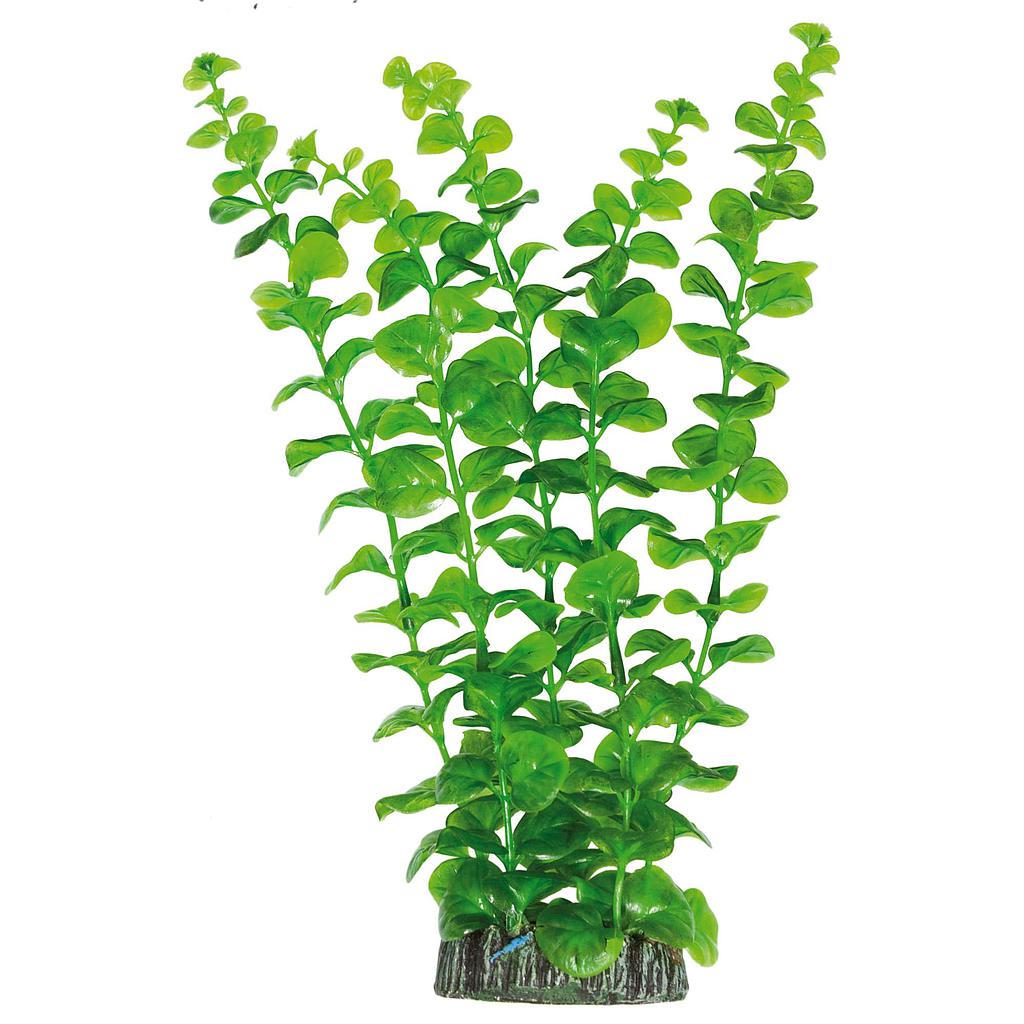 Bacopa australis de AQUATIC PLANTS (PLÁSTICO) verde 28cm