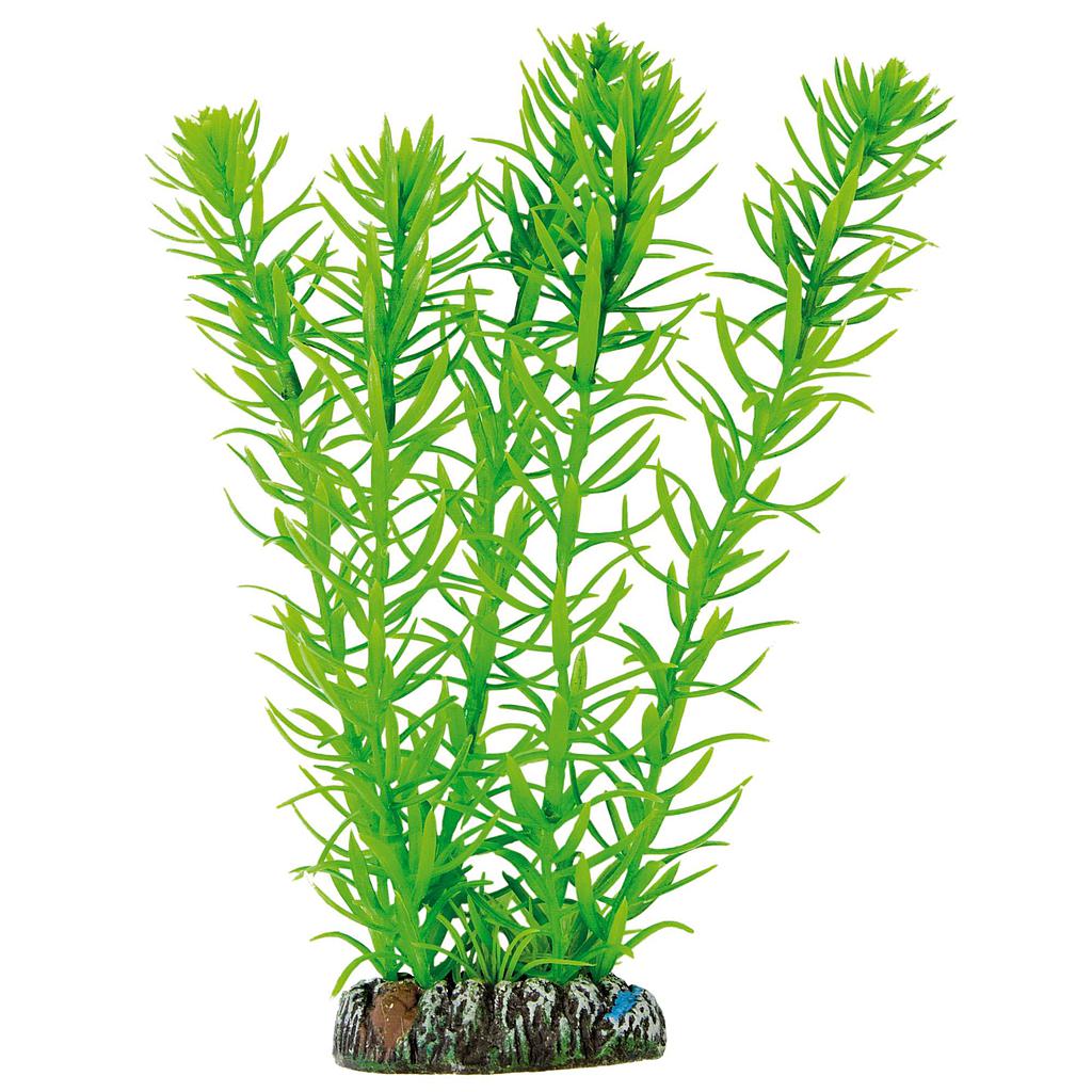 Egeria de AQUATIC PLANTS (PLÁSTICO) verde 20cm