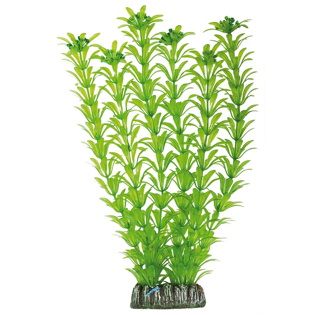 Elodea de AQUATIC PLANTS (PLÁSTICO) verde 29cm