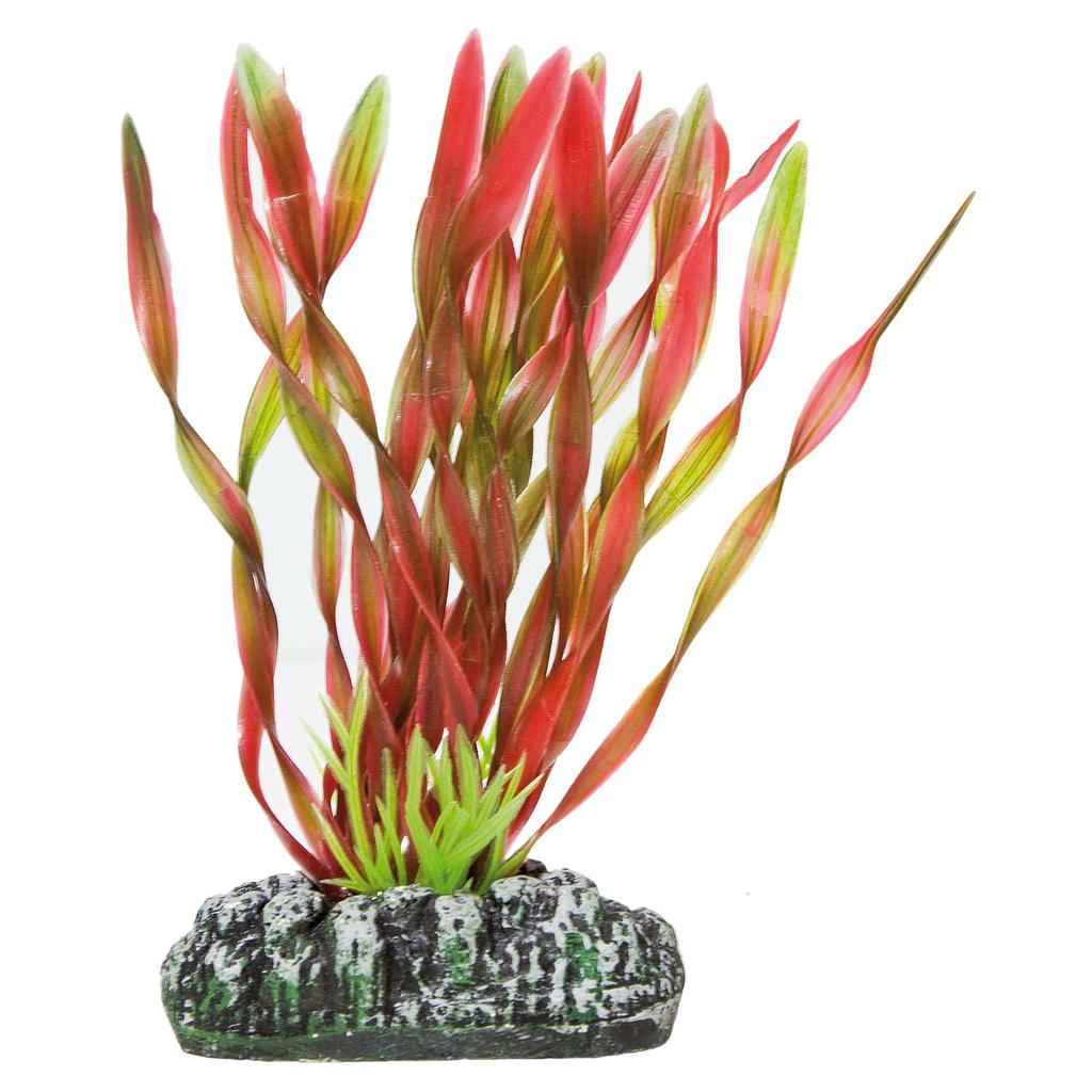 Vallisneria de AQUATIC PLANTS (PLÁSTICO) rojo 10,5cm