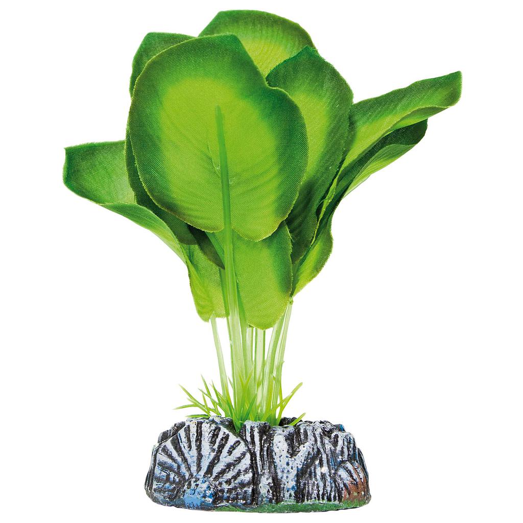 Aglaonema de AQUATIC PLANTS (SEDA) verde 14cm