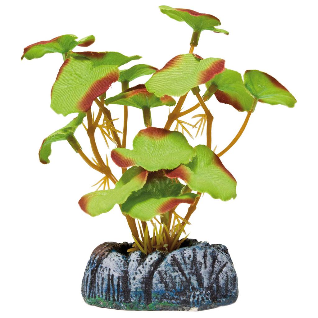 Nenúfar de AQUATIC PLANTS (SEDA) verde 30cm