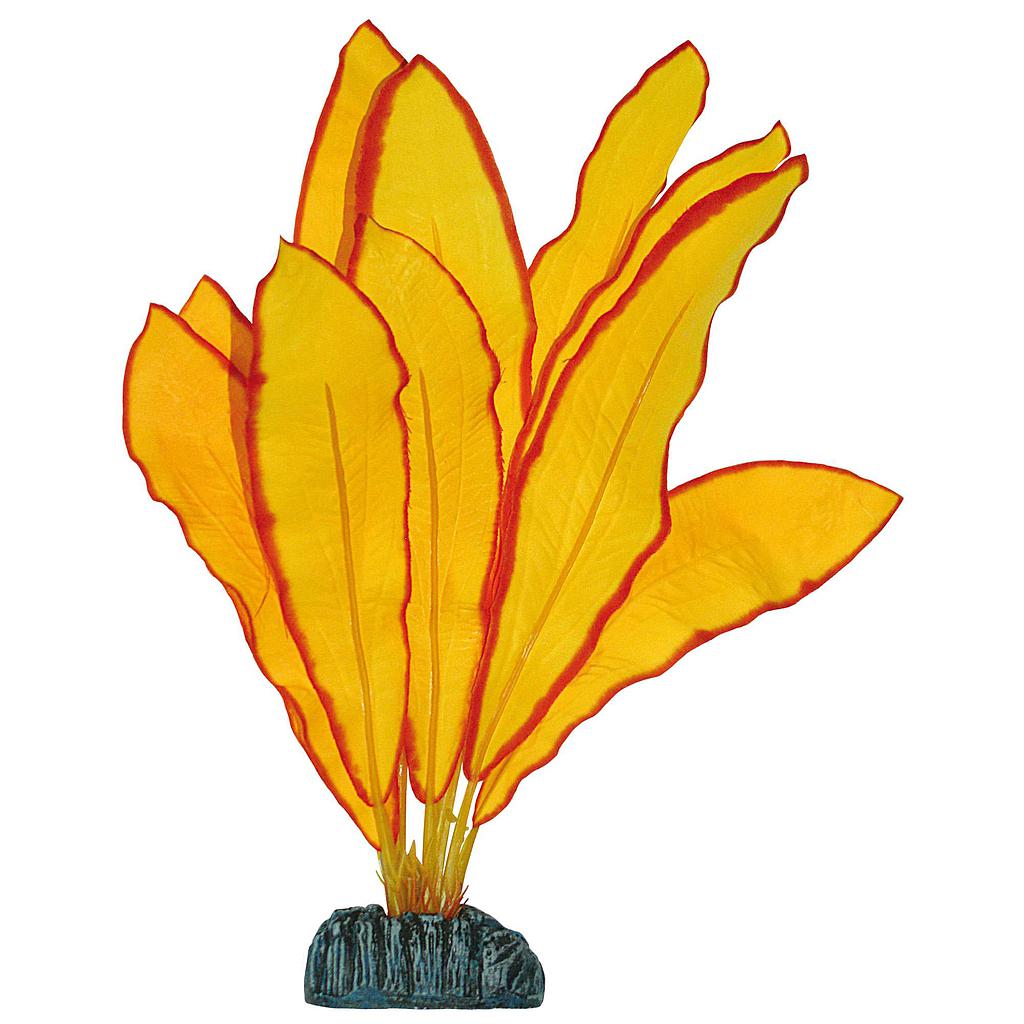 Echinodorus de AQUATIC PLANTS (SEDA) amarillo 30cm