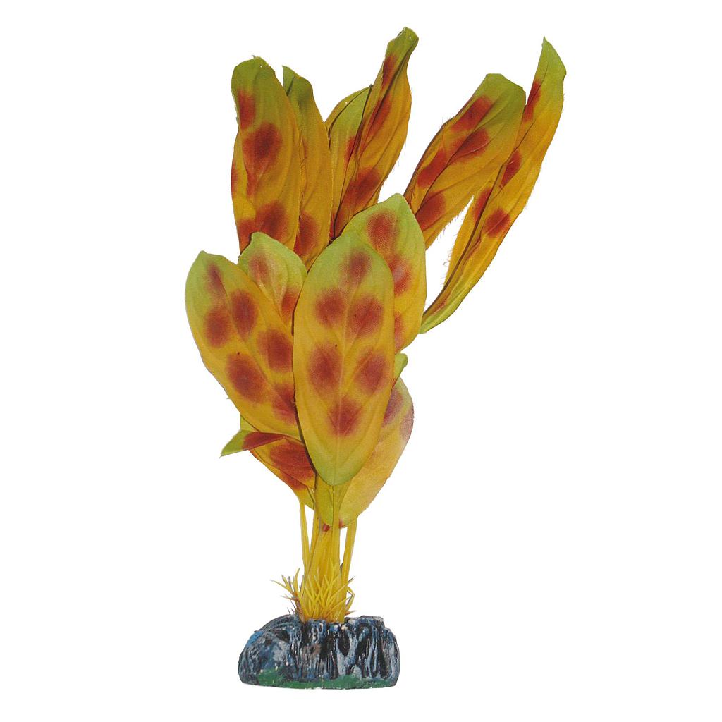 Anubias moteada de AQUATIC PLANTS (SEDA) marrón 11cm
