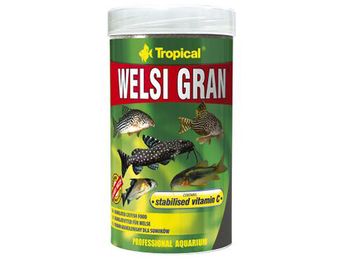TROPICAL WELSI GRAN
