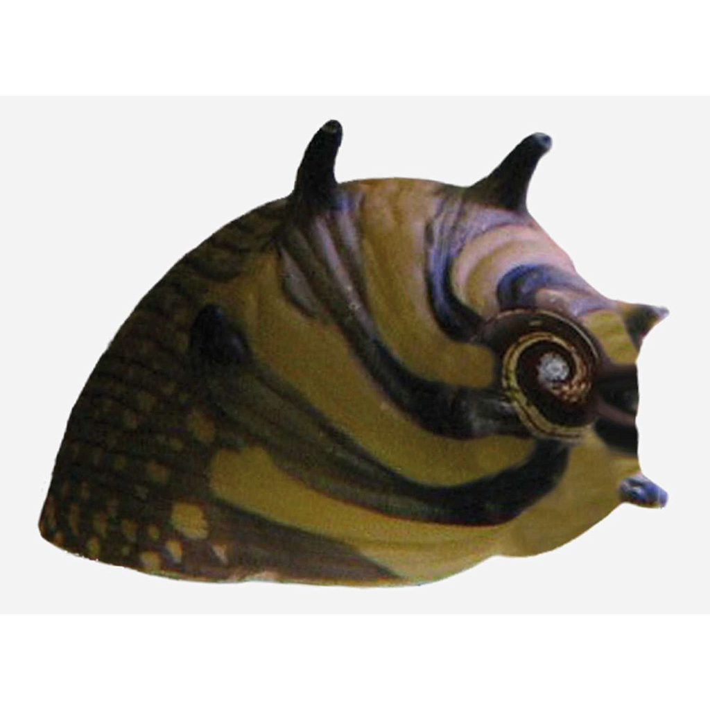 CARACOL SOL (Clithon corona)