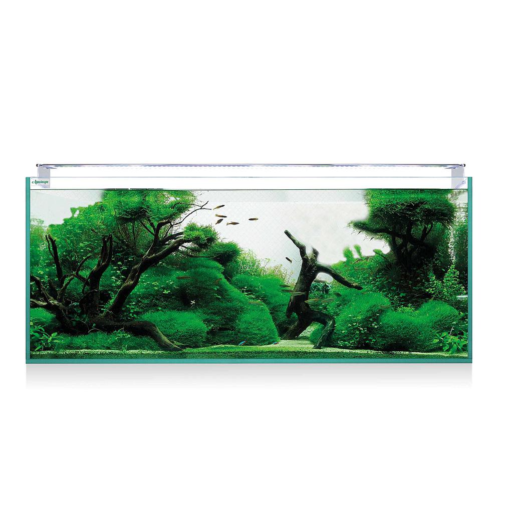 Kit Aquascape Extra Claro 330 (300L) 120x50x55