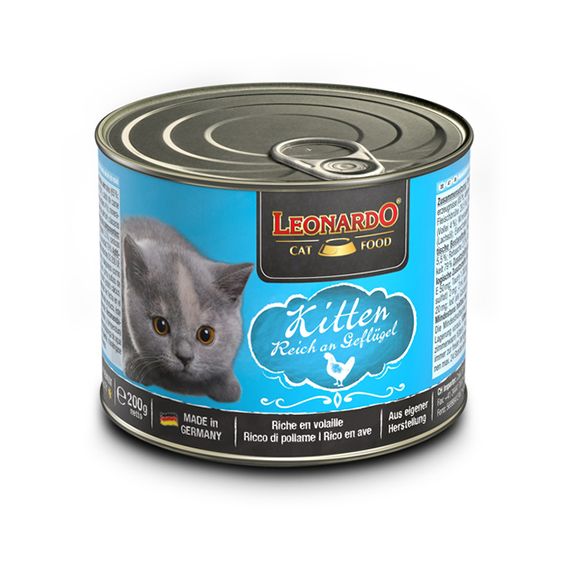 LEO KITTEN RICO EN AVE  LATA