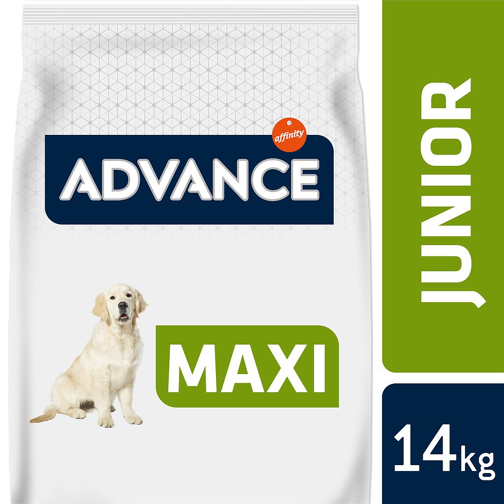 ADVANCE Junior Maxi