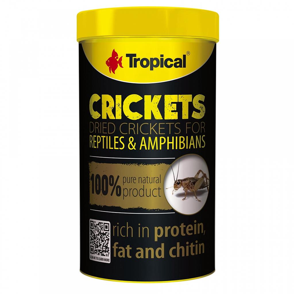 GRILLOS SECOS-ACHETA DOMESTICUS-100 ML