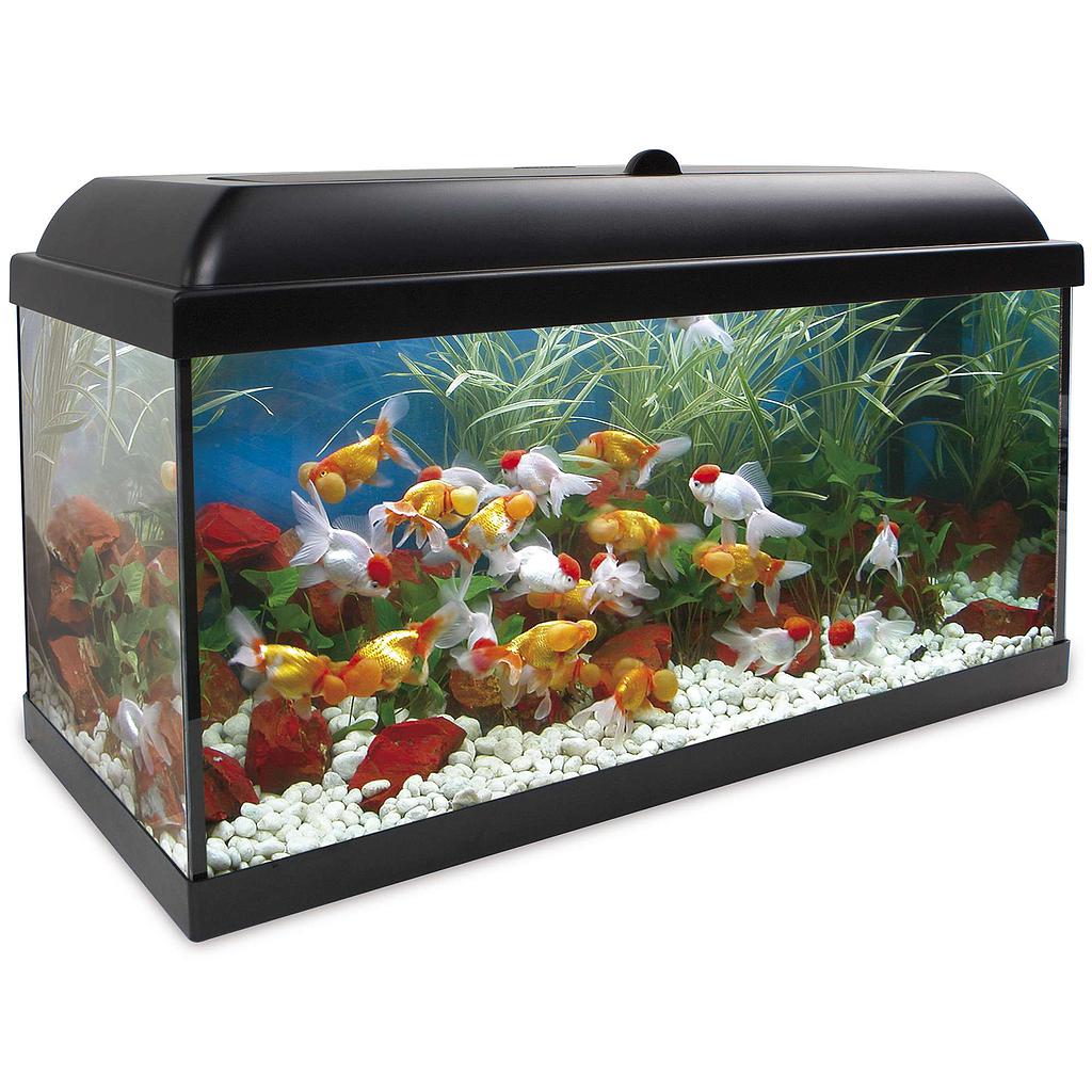 Kit AQUA-LED PRO 130 con filtro interior (130.00 L)