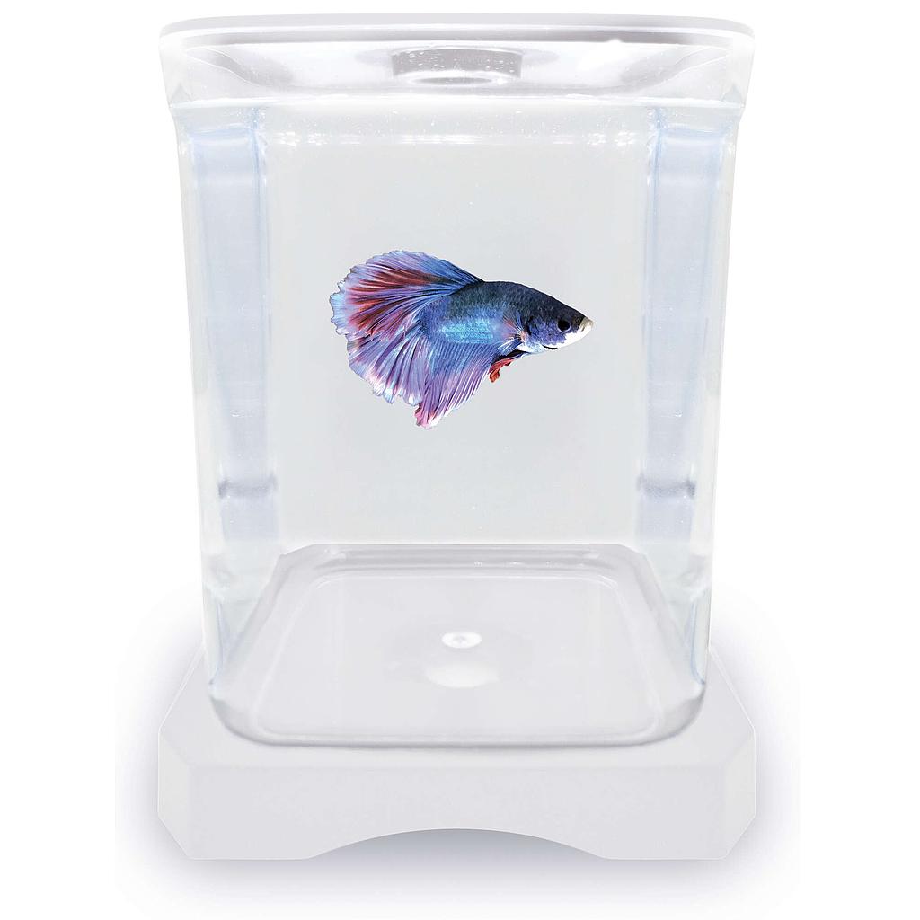 Betera blanca ICA (1.5 l)