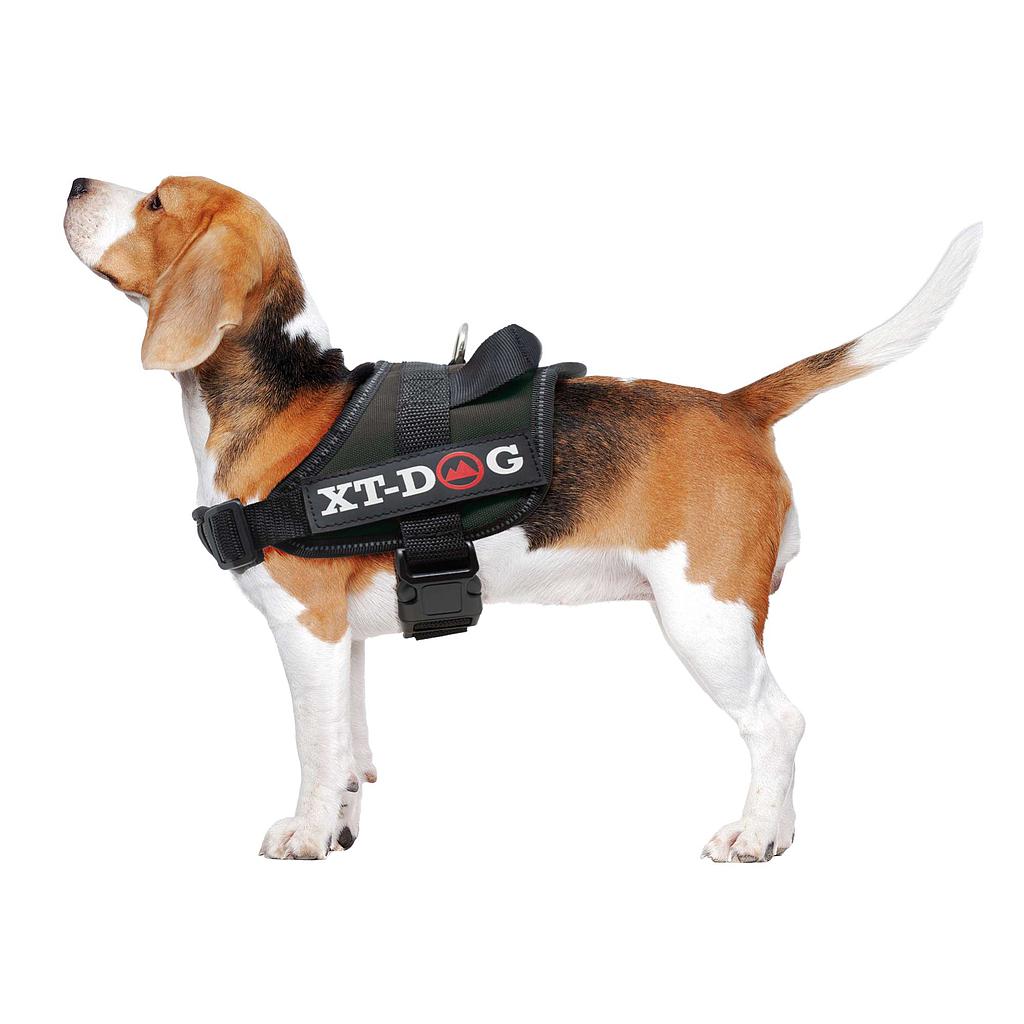 Arnés de seguridad XT-DOG