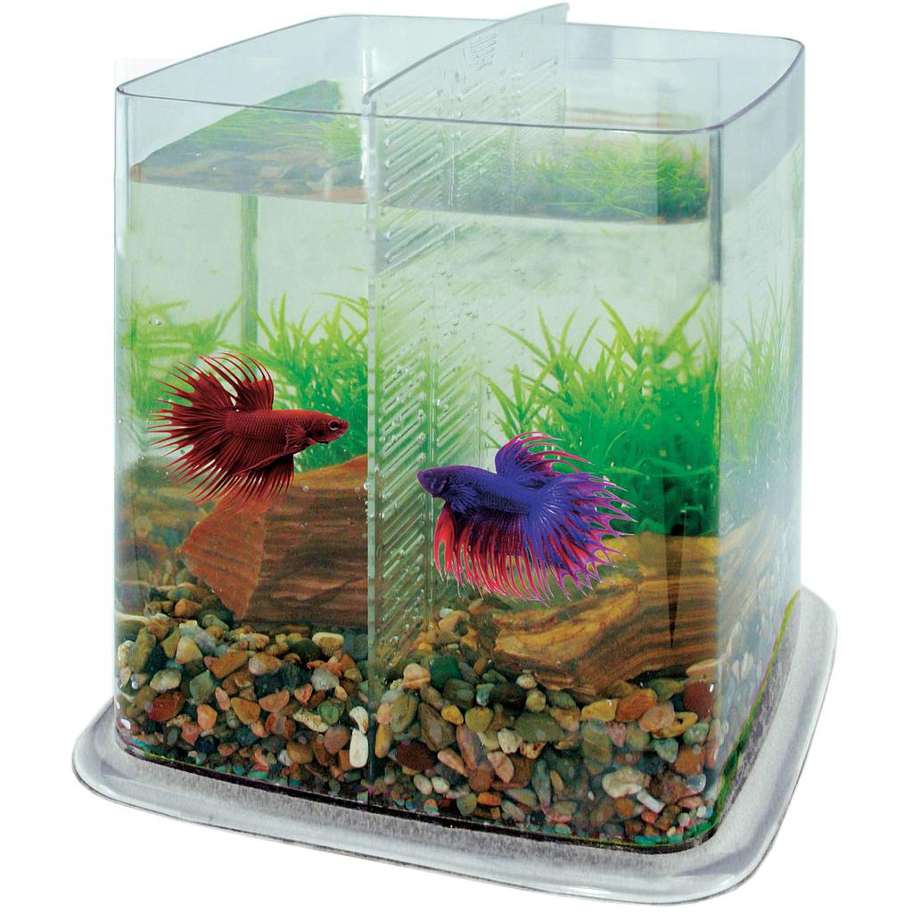 *Bettera BETTA BATTLE PARADISE 6.40L 21,5x21,5x21cm