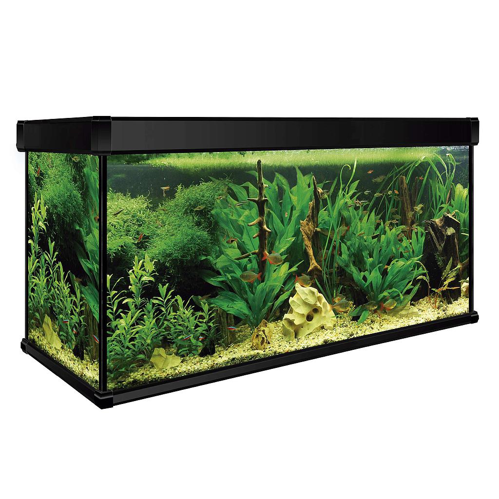 Kit AQUA LUX PRO 600 con filtro exterior (600.00 L)