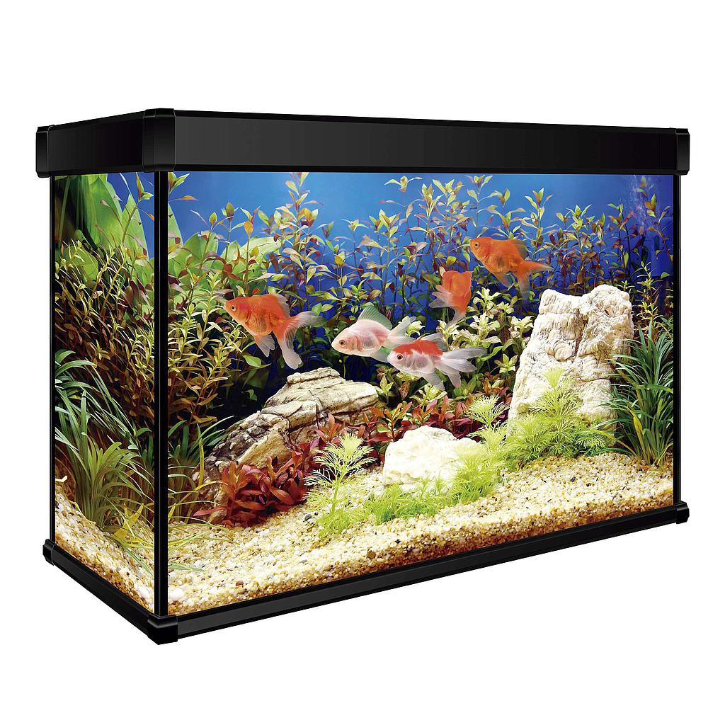 Kit AQUA LUX PRO 68 con filtro interior (68 L)