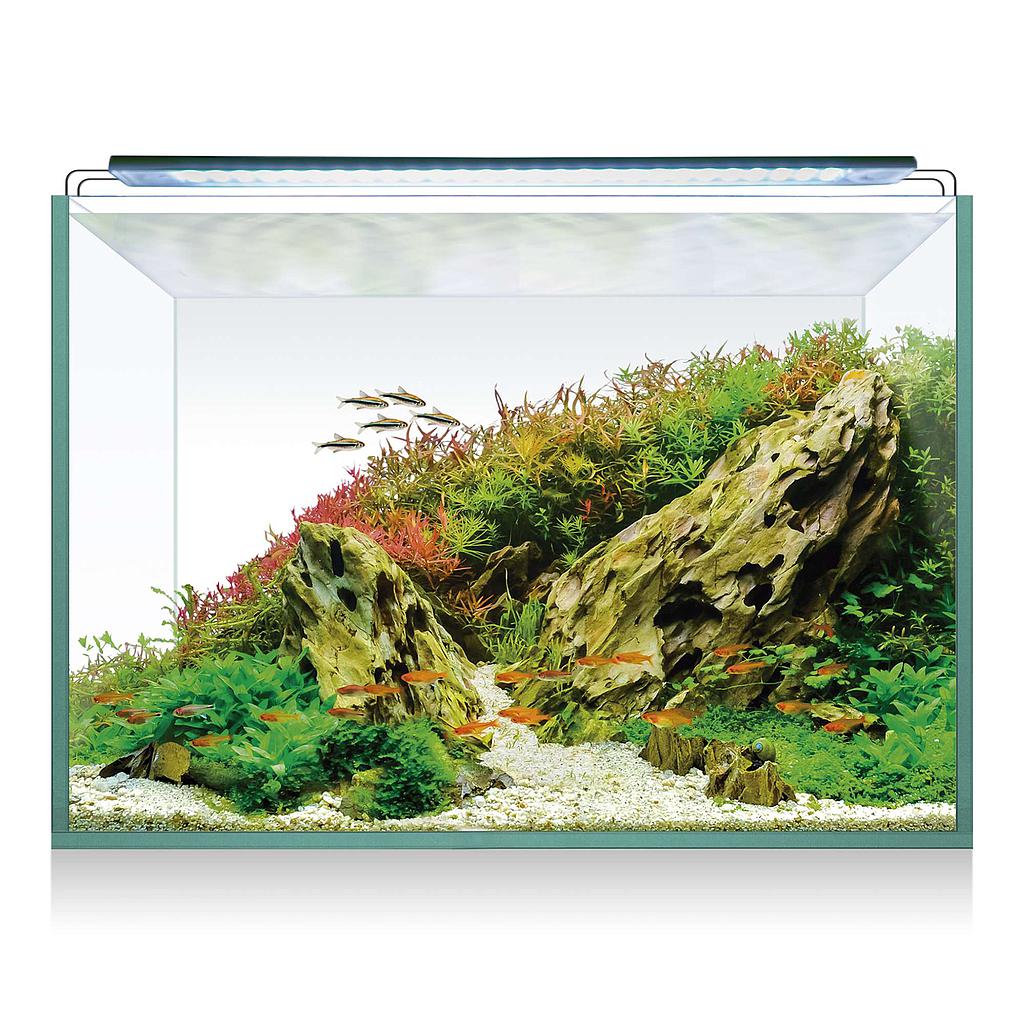 Kit AQUASCAPE RGB 68 (70.00 L)  
