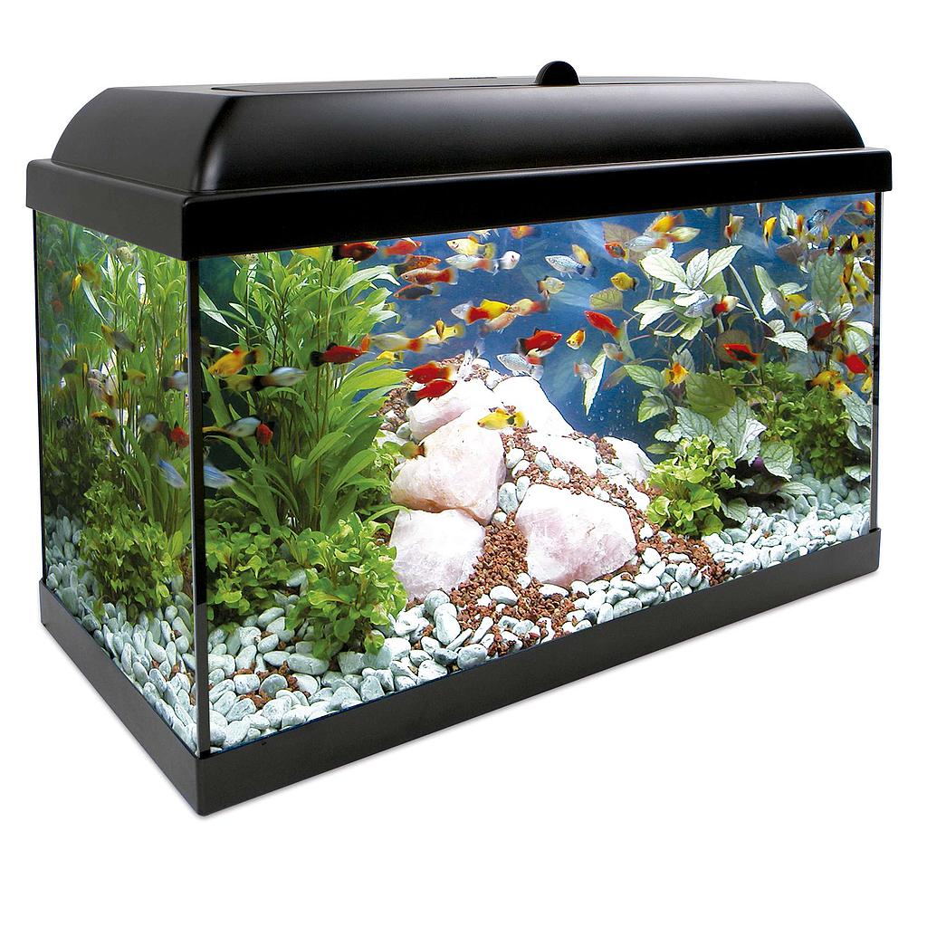 Kit AQUA-LED PRO 68 con filtro interior (68.00 L)