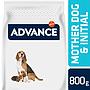 ADVANCE Mother Dog & Initial