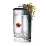 Kit Betta Flora LED 2.00L 25x15x15cm