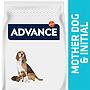 ADVANCE Mother Dog & Initial